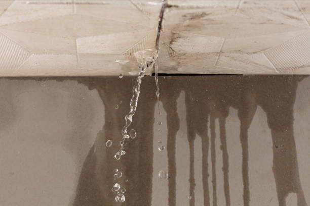 Professional Burst Pipe Cleanup technician working in Francitas, TX